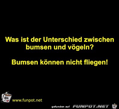 Der Unterschied Der Unterschied