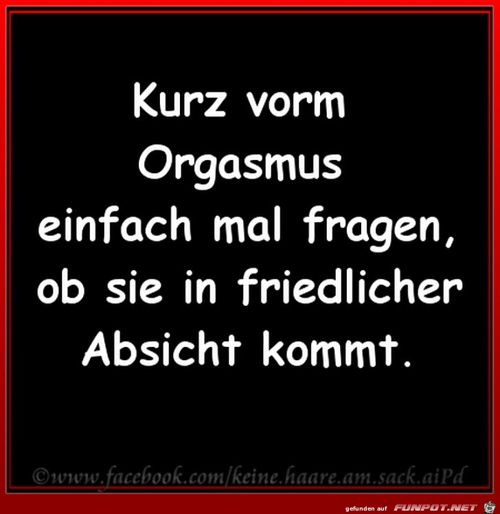 In friedlicher Absicht In friedlicher Absicht