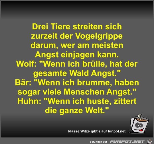 Drei Tiere streiten sich zurzeit der Vogelgrippe darum Drei Tiere streiten sich zurzeit der Vogelgrippe darum