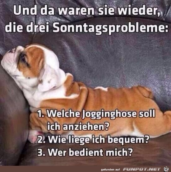 Sonntagsprobleme Sonntagsprobleme