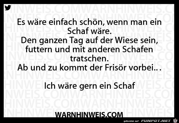 Schaf Schaf