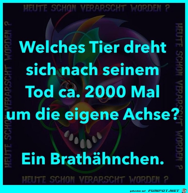 Welches Tier dreht sich Welches Tier dreht sich