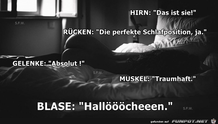 Hirn Das ist sie Hirn Das ist sie