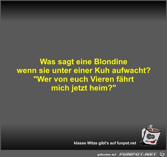 Was sagt eine Blondine wenn sie unter einer Kuh aufwacht? Was sagt eine Blondine wenn sie unter einer Kuh aufwacht?