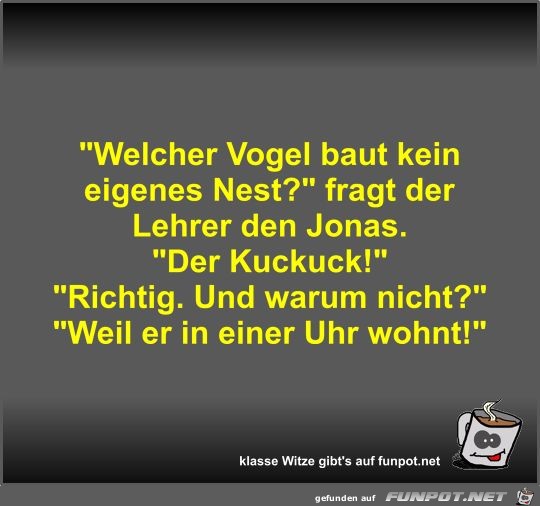 Welcher Vogel baut kein eigenes Nest? Welcher Vogel baut kein eigenes Nest?