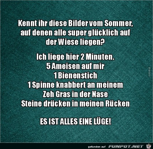 kennt ihr diese Bilder vom Sommer?... kennt ihr diese Bilder vom Sommer?...
