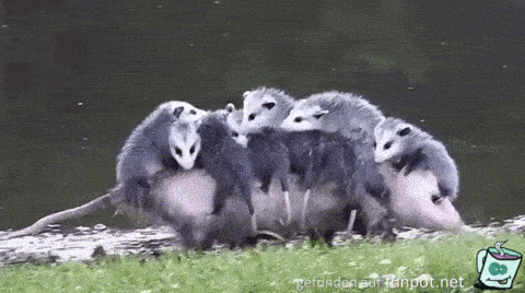 Familienausflug Familienausflug