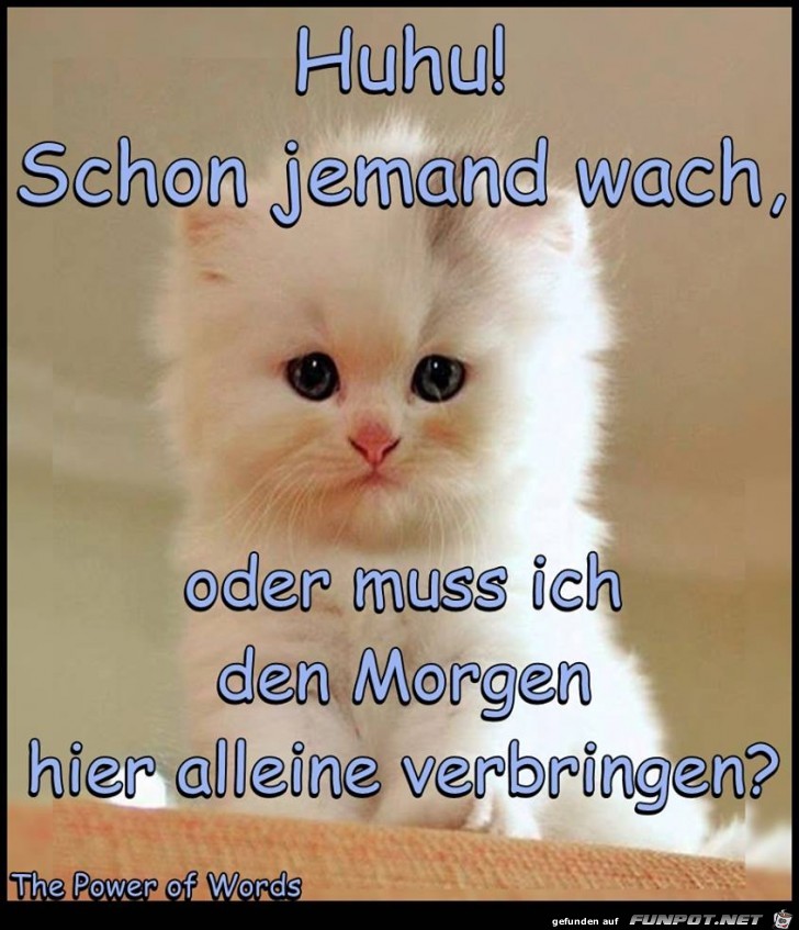Huhu schon jemand wach Huhu schon jemand wach