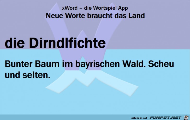 Neue-Worte-Dirndlfichte