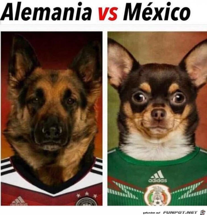 Mexiko Mexiko