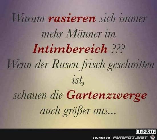 rasieren rasieren