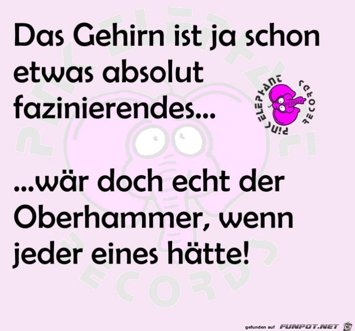 das Gehirn das Gehirn