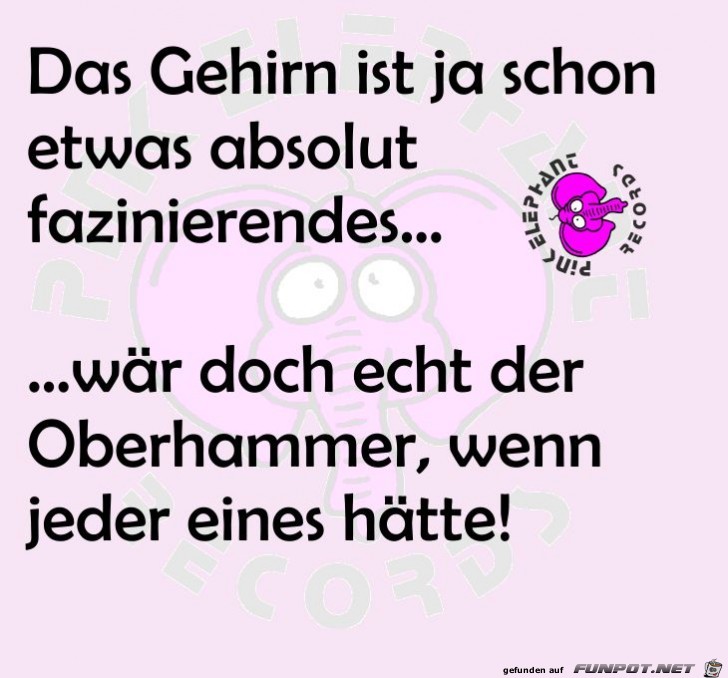 das Gehirn