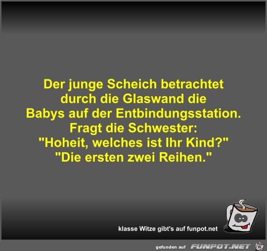 Der junge Scheich betrachtet durch die Glaswand die Babys...