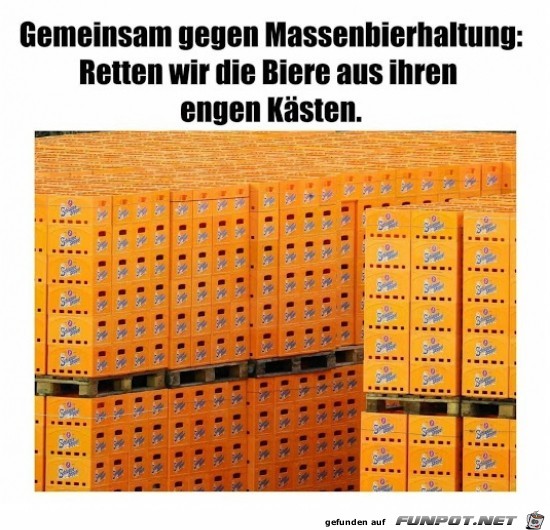 Massenbier-Haltung