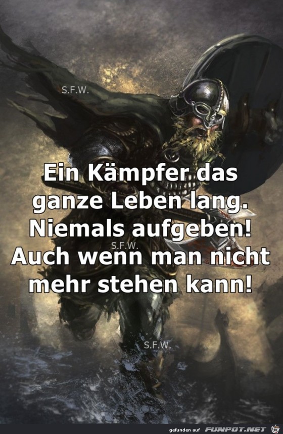 Ein Kmpfer das ganze Leben