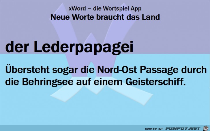 Neue-Worte-Lederpapagei