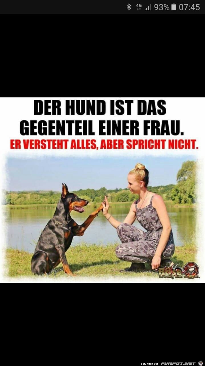 Der Hund ist das Gegenteil einer Frau...