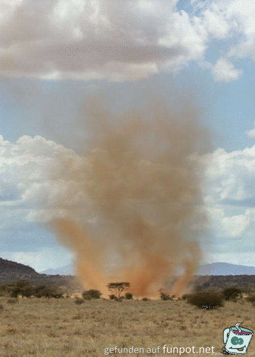 Steppentornado Steppentornado