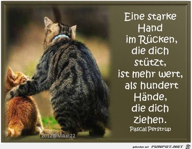 eine starke Hand im Rcken....