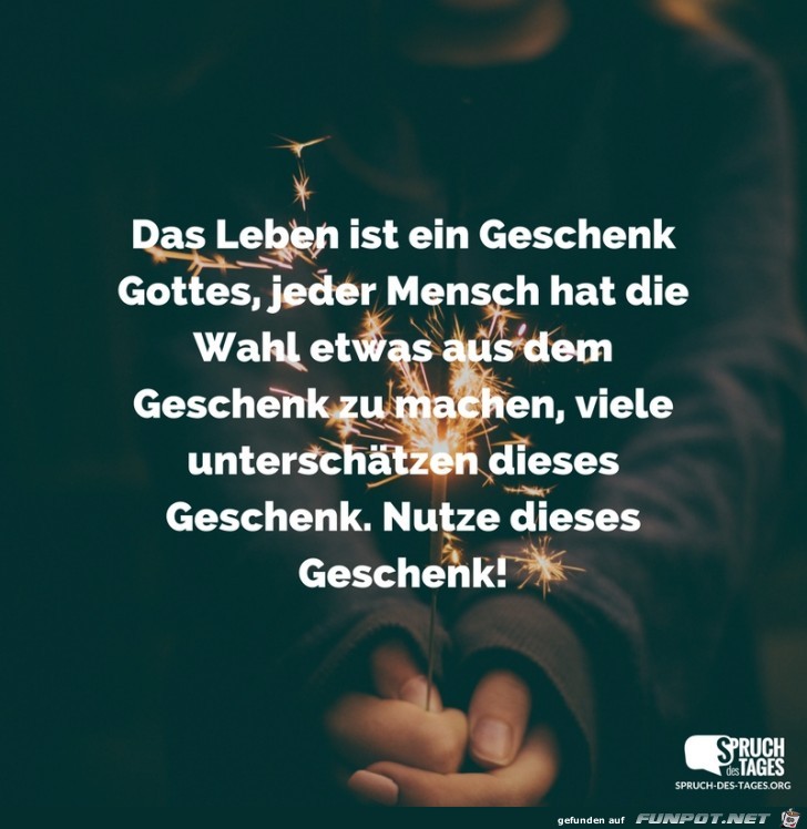 das-leben-ist-ein-geschenk-gottes-jeder-mensch-hat-die-wahl-