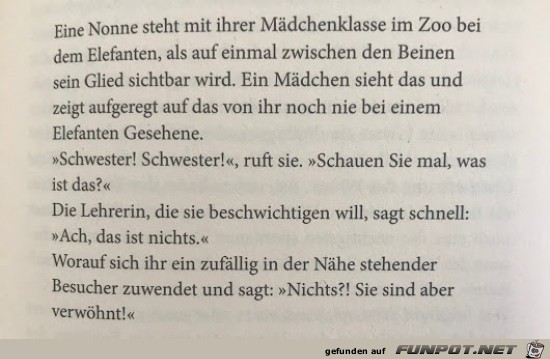 eine Nonne steht mit ihrer Mdchenklasse iim Zoo....