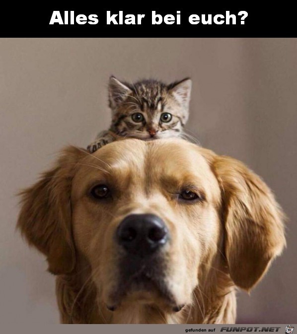 Alles klar bei euch? Alles klar bei euch?