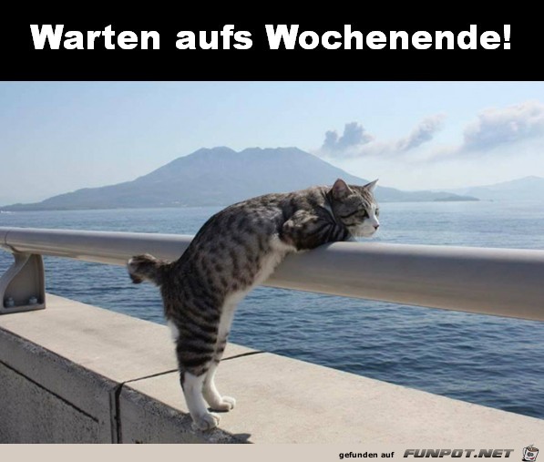 Warten Warten