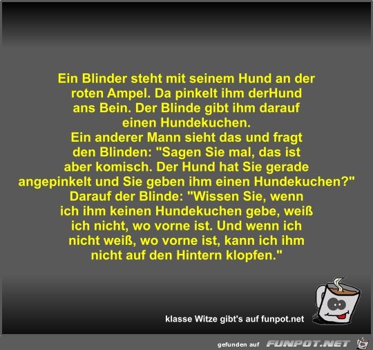 Ein Blinder steht mit seinem Hund an der roten Ampel