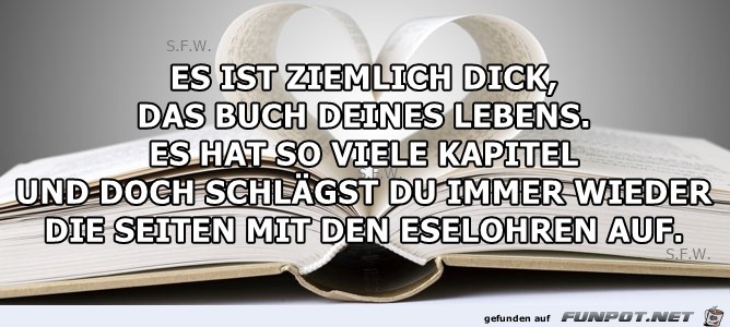 ES IST ZIEMLICH DICK