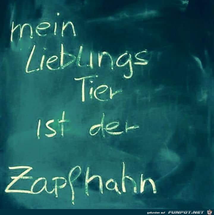 Mein Lieblingstier Mein Lieblingstier