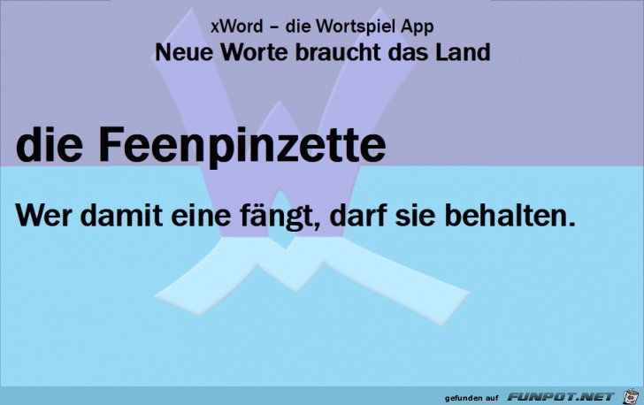 Neue-Worte-Feenpinzette