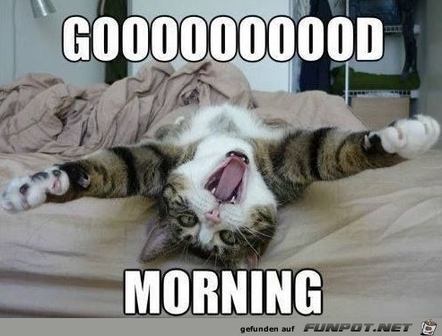Guten Morgen Guten Morgen