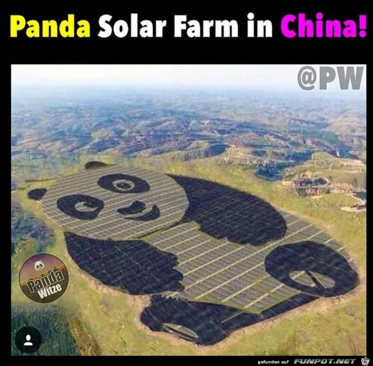 Panda Solar Farm