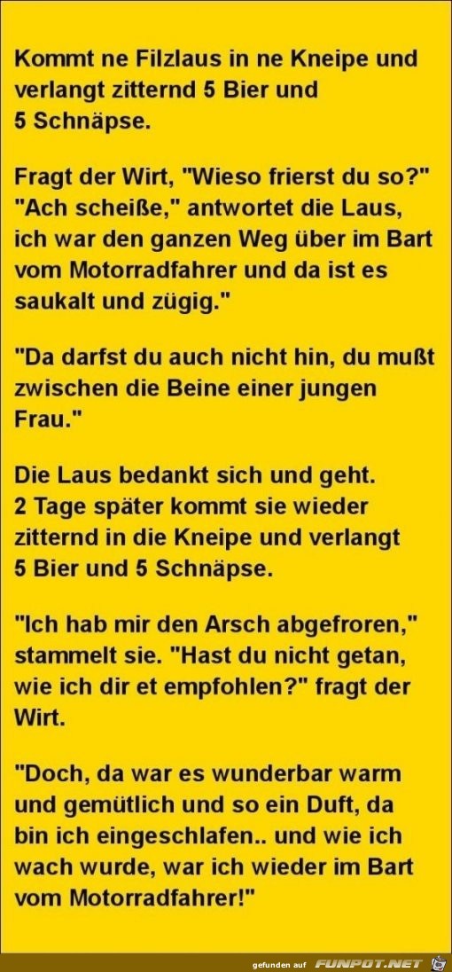 Kommt ne Filzlaus in die Kneipe Kommt ne Filzlaus in die Kneipe