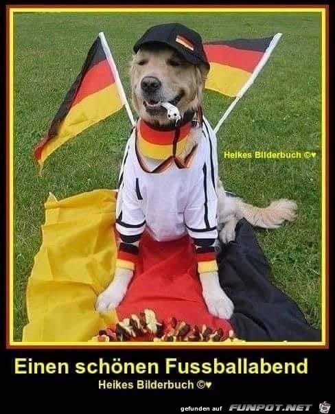 Fussball Fussball