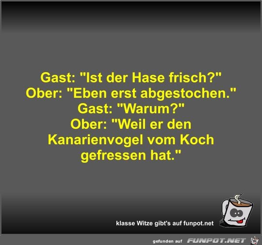 Gast: Ist der Hase frisch?