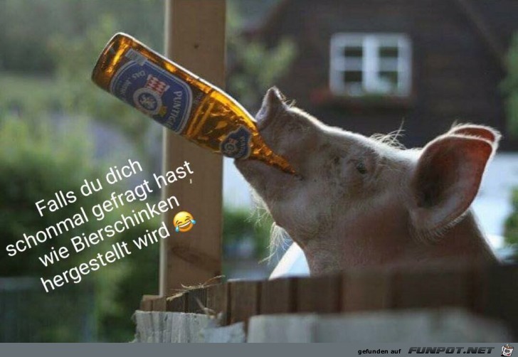 bierschinken bierschinken