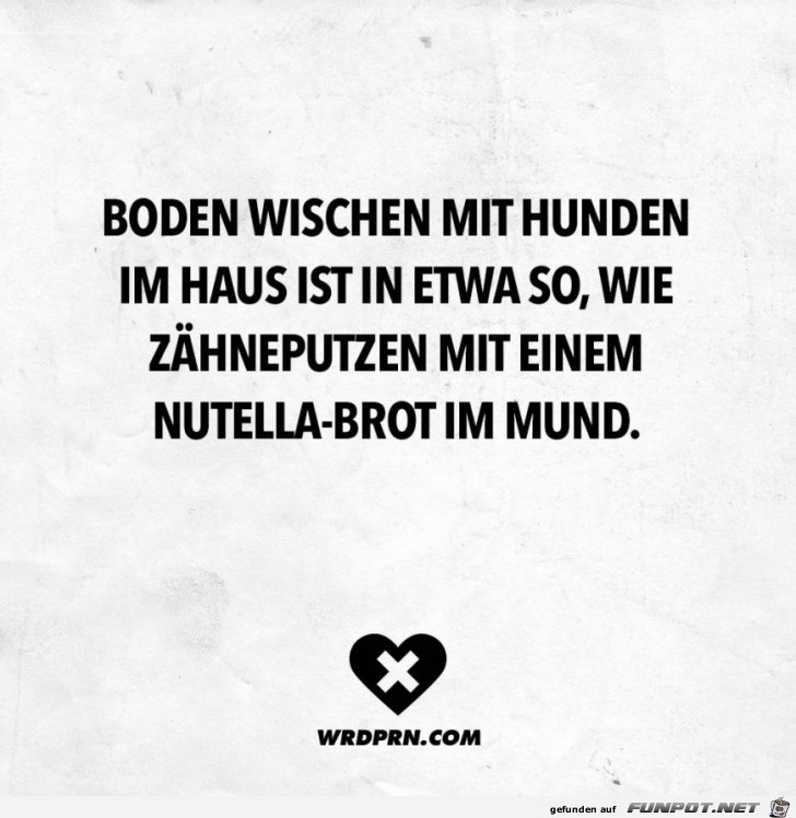 boden-wischen-hunde boden-wischen-hunde
