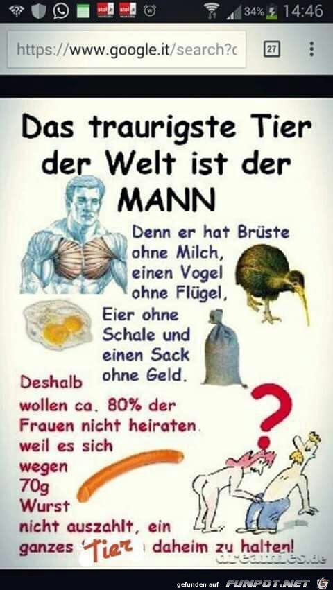 das traurigste tier der Welt das traurigste tier der Welt