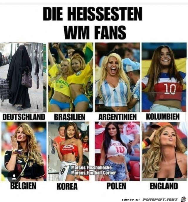 WM Fans WM Fans
