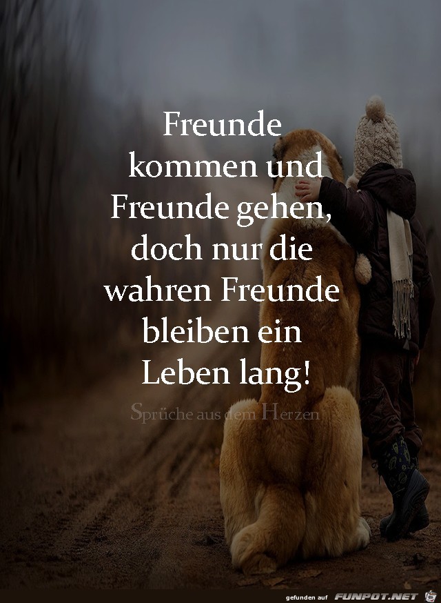 Freunde kommen Freunde gehen