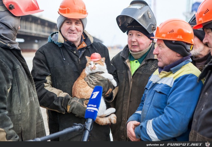 Neuer Vorarbeiter