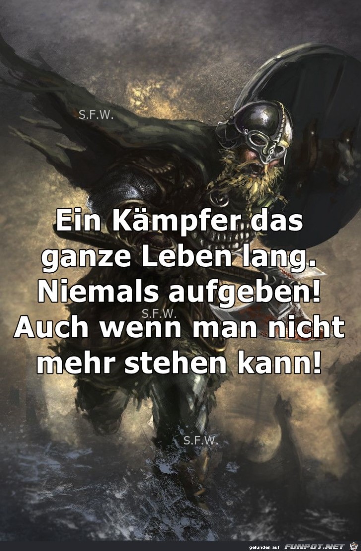 Ein Kaempfer das ganze Leben