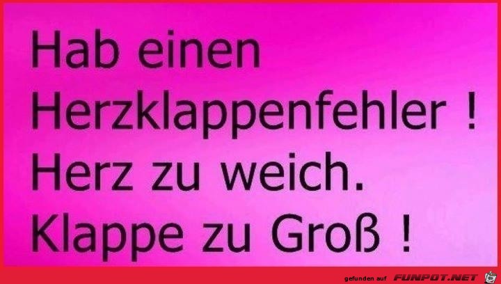 Herzklappenfehler Herzklappenfehler