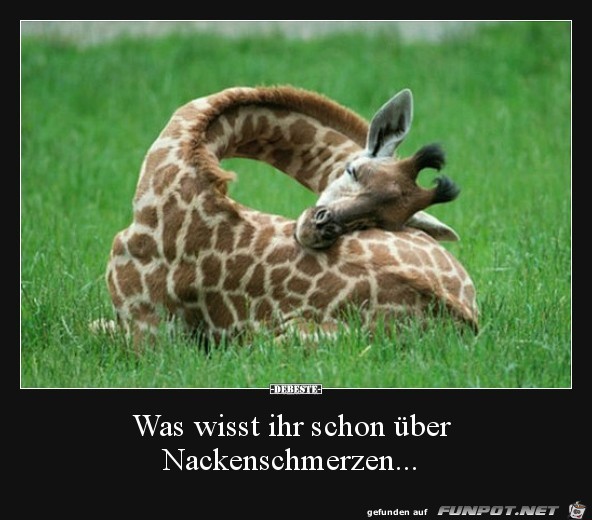 was wisst ihr schon was wisst ihr schon