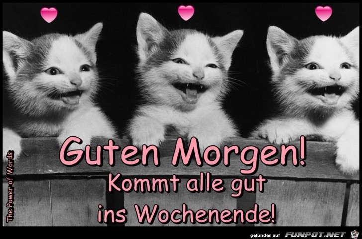Kommt alle gut ins Wochenende Kommt alle gut ins Wochenende