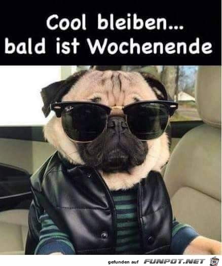 Cool bleiben Cool bleiben