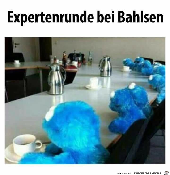 Expertenrunde Expertenrunde