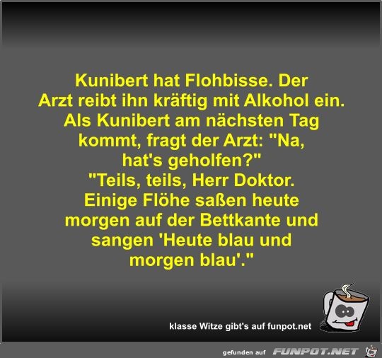 Kunibert hat Flohbisse